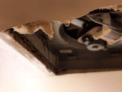 Professional storm damage restoration services in Tacoma - water damage restoration service